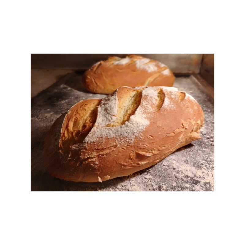 Large parisian loaf